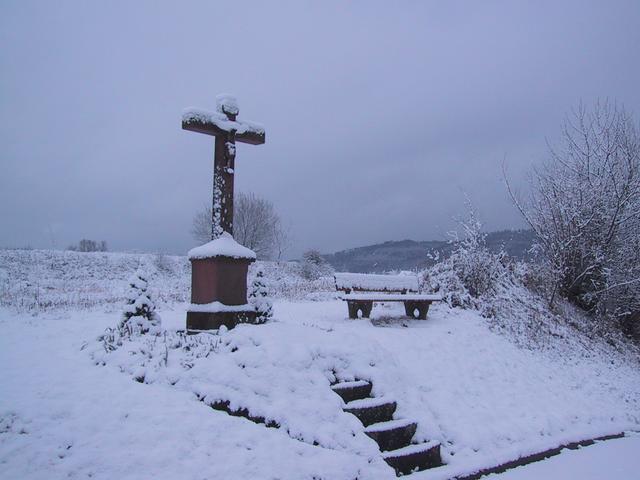 Weinberg Bleichtal | Foto: Hans Mall