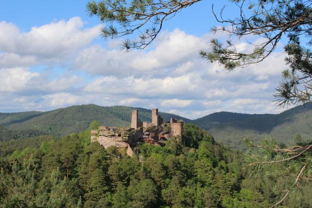 März 2: Burg Altdahn | Foto: Carmen Schwamm