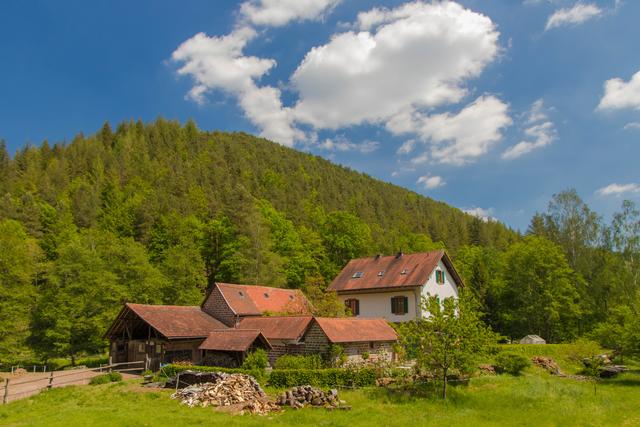 Elmsteiner Tal beim Helmbachweiher