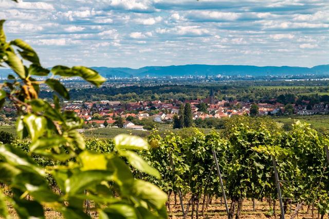 Juli 8: Blick auf Leistadt | Foto: Christian Lünstroth