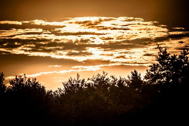 Atemberaubende Pfalz! | Foto: Johanna Preisler 