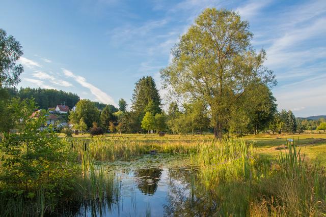Landschaft bei Ludwigswinkel