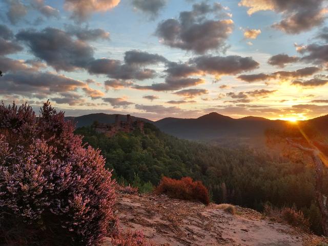 September 12: Sonnenaufgang auf dem Haferfelsen gegenüber von Burg Altdahn | Foto: Ursula Anstett