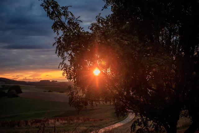 Sonnenuntergang im Donnersbergkreis (August) | Foto: Johanna Preisler