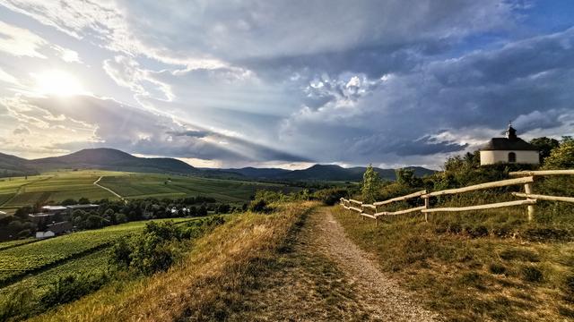 August 12: Kleine Kalmit mit Blick über Ilbesheim, die Weinberge bis hin zum Haardtrand | Foto: Olaf Schmitt