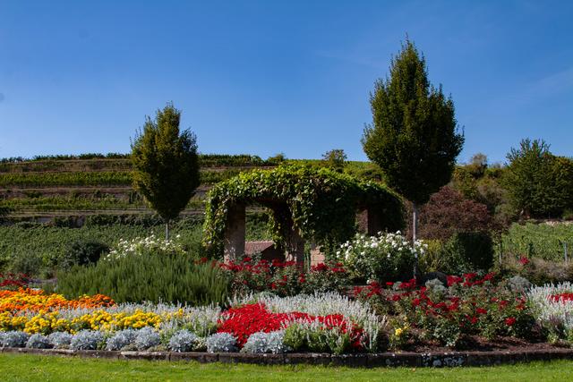 August 2: Steintor Bad Dürkheim  | Foto: Christian Lünstroth