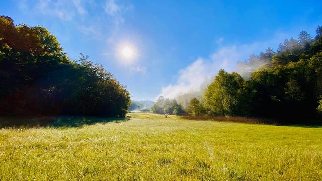 Eselsbachtal am frühen Morgen (Kaiserslautern, Mai) | Foto: Johanna Preisler