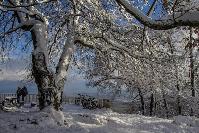 Kalmit im Winter