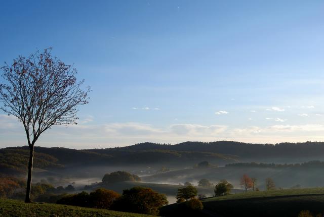 November 10: Donnersbergkreis | Foto: Jürgen Krebs
