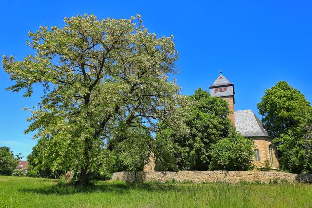 April 6: Wallfahrtskapelle Ottilienberg in der Nähe von Eppingen | Foto: Norbert Jäger