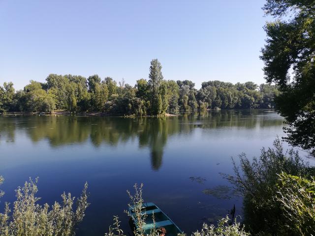 Juli 11: Kiefweiher Ludwigshafen | Foto: Saskia Helfenfinger-Jeck