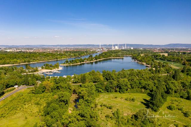 August 8: Kiefweiher bei Altrip | Foto: Sascha Caballero