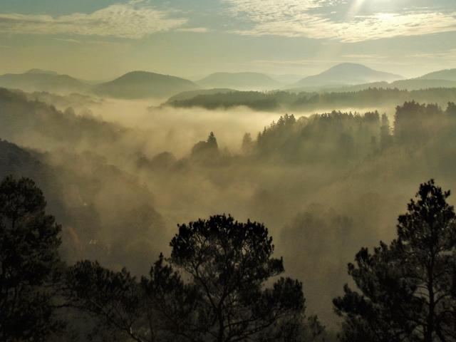 November 9: Dahner Felsenpfad | Foto: Nicole Weis