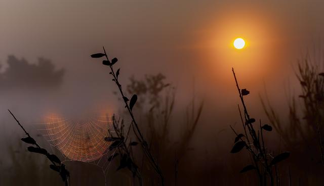 November 6: Mehlinger Heide | Foto: Jürgen Schneidmann