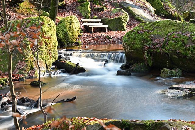 Februar 8: Karlstalschlucht | Foto: Ilona Schäfer