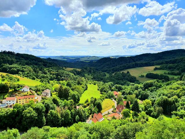 Juli 10: Der Blick von der Falkensteiner Burg | Foto: Aileen Schneider