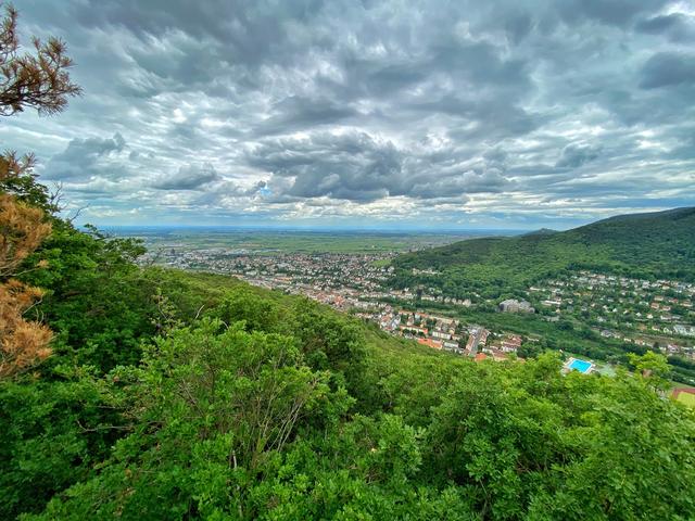 Mai 2: Aussicht aus dem Pfälzer Wald über Neustadt in die Pfalz | Foto: Norbert Jäger