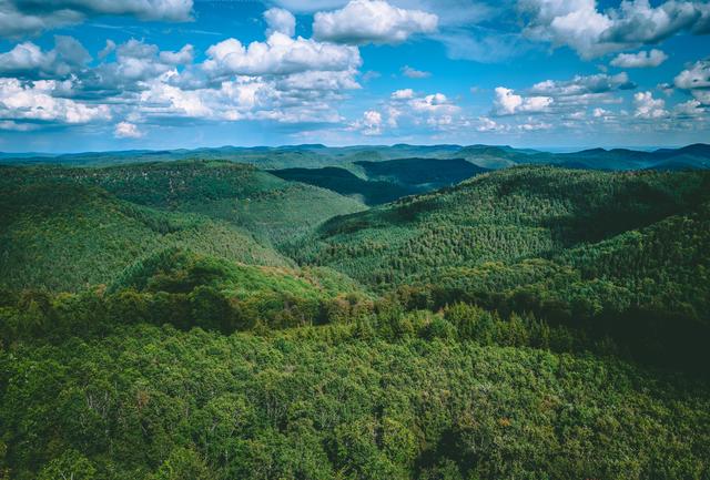 Juni 11: Blick vom Luitpoldturm | Foto: Peter Conzelmann