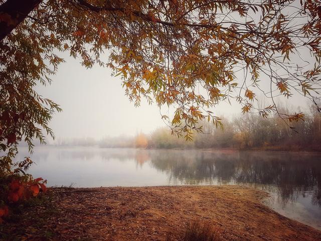 November 7: Binsfeld Speyer | Foto: Anita Lemmert
