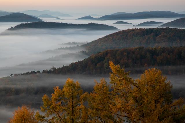 November 4: Herbststimmung über dem Pfälzerwald | Foto: Georg Beck