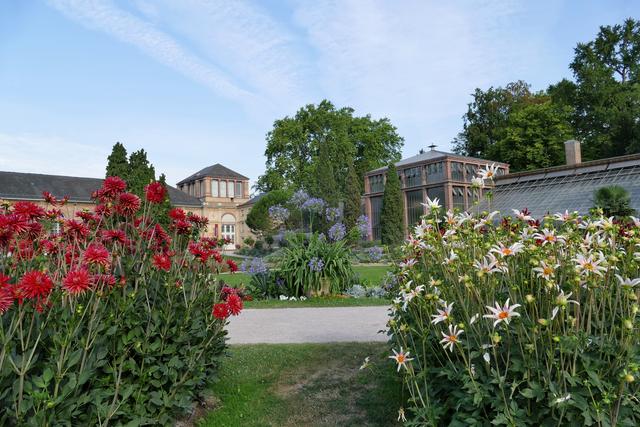 September 5: Botanischer Garten in Karlsruhe | Foto: Marlene Deck