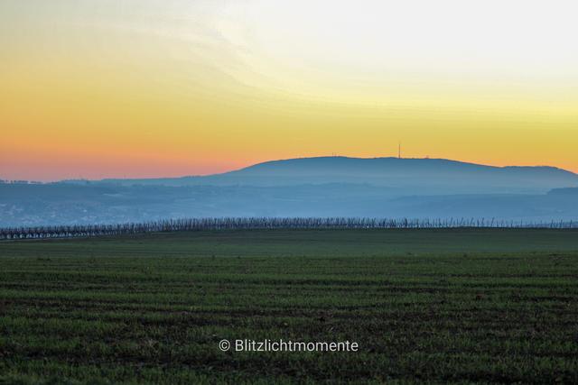März 3: Donnersbergkreis | Foto: Tabea Zahn