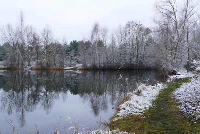 Januar 7: Wehlachweiher Haßloch | Foto: Angelika Bullinger