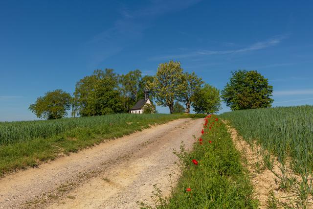 Mai 6: Reifenberger Kapellchen | Foto: Philipp Iffland