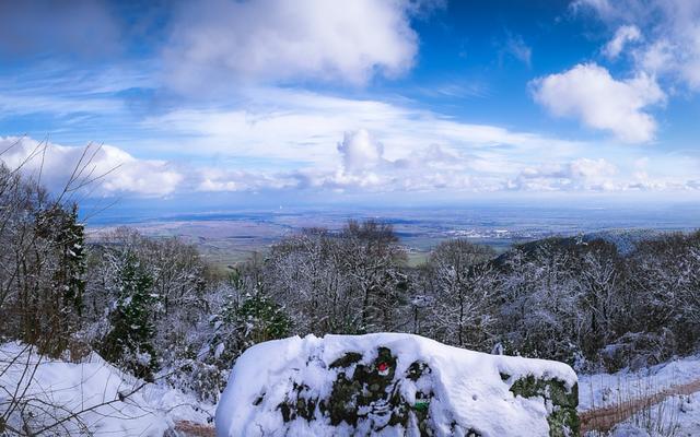 Januar 2: Aussicht von der Kalmit | Foto: Frank Theilmann
