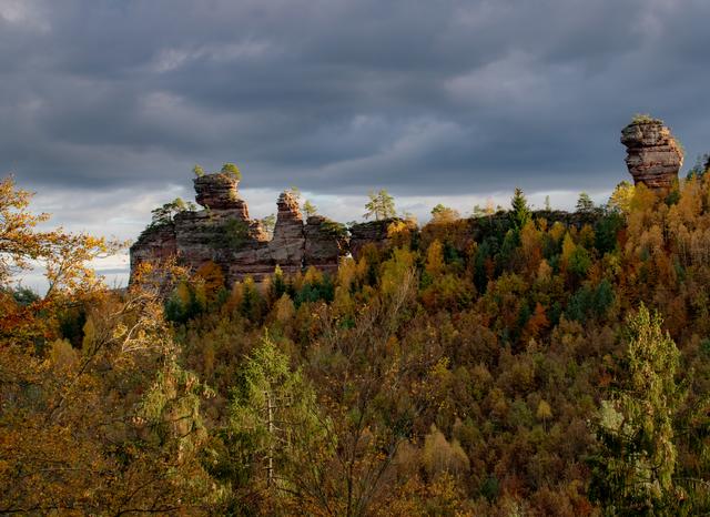 Oktober 9: Lämmerfelsen im Pfälzerwald | Foto: Nikolas Jach