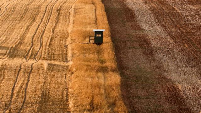 August 7: Ernte ist eingebracht, Breunigweiler im Donnersbergkreis | Foto: Martin Unterluggauer