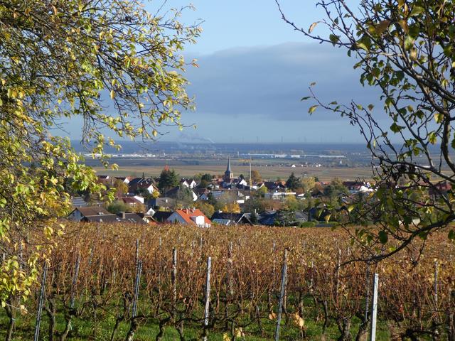 November 3: Weisenheim am Berg | Foto: Friedrich Kögel