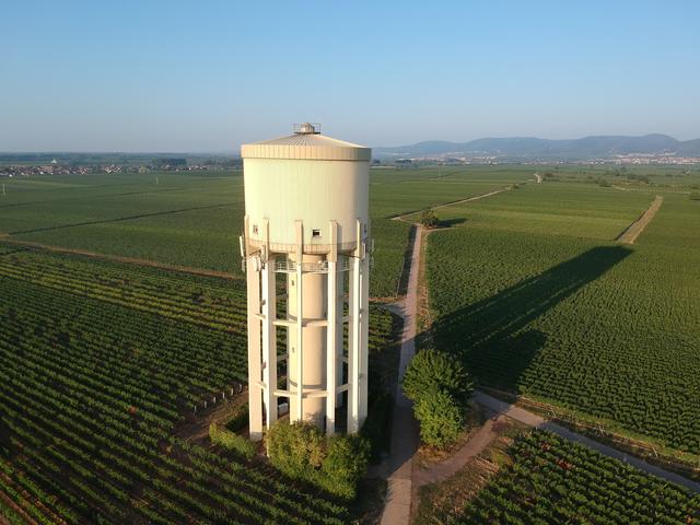 August 13: Duttweiler - Wasserturm | Foto: Gerhard Syring-Lingenfelder