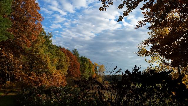 Oktober 6: Mackenbacher Wald | Foto: Karin Deppert