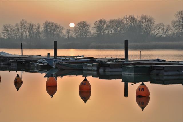 November 8: Altrhein Neuhofen | Foto: Maike Müller