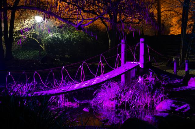 Februar 5: Winterlichter im Luisenpark Mannheim | Foto: Monika Amthor