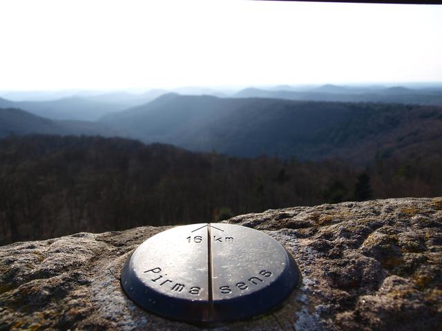 Februar 1: Luitpoldturm | Foto: Alice Braunstein