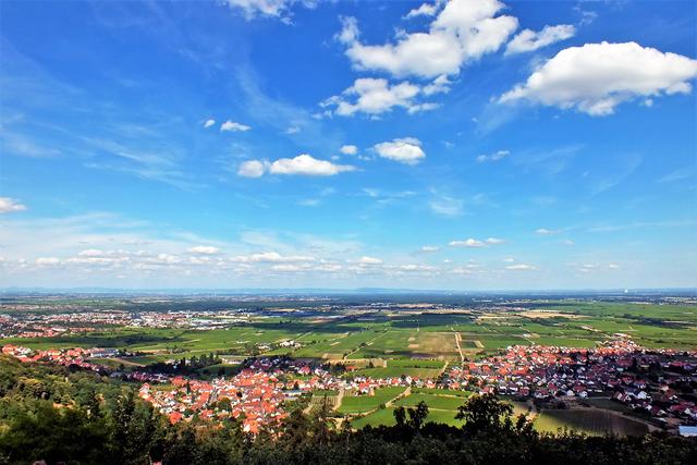 Juli 7: Blick von der Terrasse vor dem Hambacher Schloss in Rheinebene | Foto: Angelika Bullinger