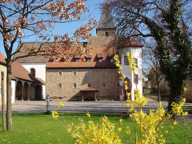 April 7: Frühling im Herrenhof Mußbach | Foto: Horst-Werner Kasch