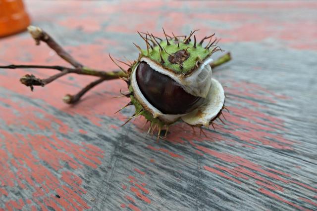 Hielten sich heute zurück mit dem Herabfallen | Foto: Brigitte Melder