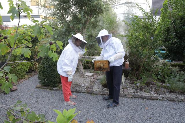 Fleißige Bienchen sorgen für leckeren Honig | Foto: Johann-Peter Melder
