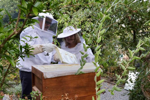 Ittensohn zeigt das abgelagerte Propolis | Foto: Johann-Peter Melder