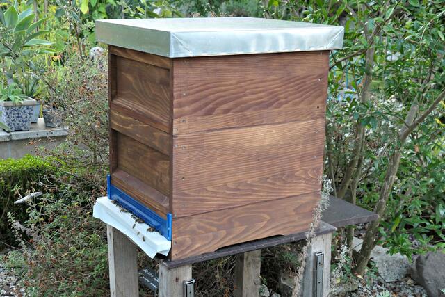 Das andere Bienenvolk im Garten | Foto: Brigitte Melder