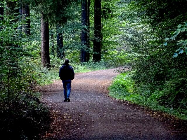 Barrierefrei wandern am Eiswoog