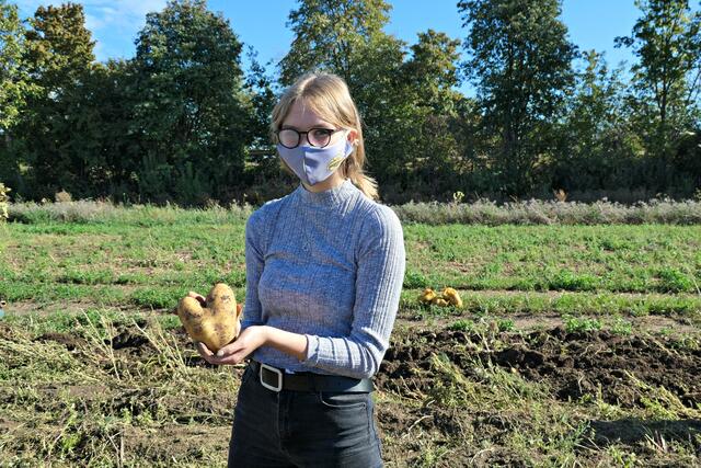Seltener Fund: Eine herzförmige Kartoffel | Foto: Brigitte Melder