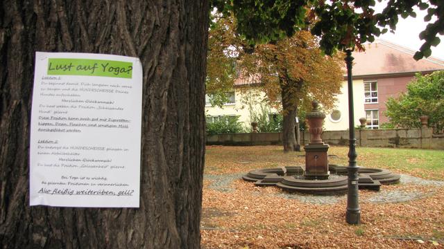 Kreative Aktion gegen Dreck