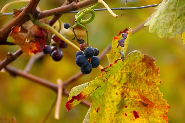 Hat man mich vergessen?