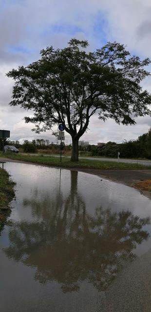 Endlich hat es mal geregnet...was für eine tolle große Pfütze