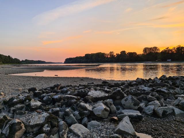 Niedrigwasser am Rhein (Rappenwört) | Foto: Foto: Ralf Schneider