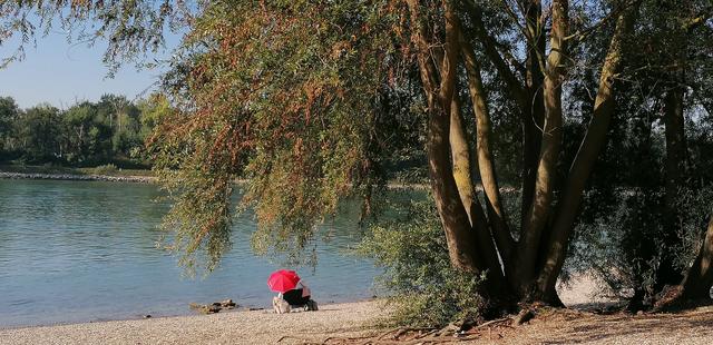 Strandbad Mannheim